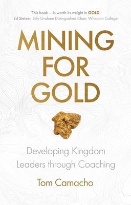 bokomslag Mining for Gold