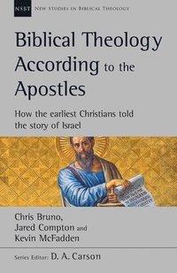 bokomslag Biblical Theology According to the Apostles