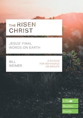 The Risen Christ 1