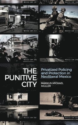 The Punitive City 1