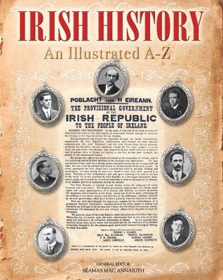 bokomslag Irish History