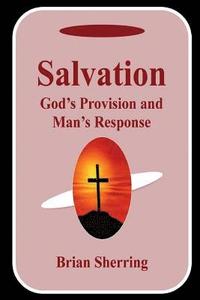 bokomslag Salvation: God's Provision and Man's Response