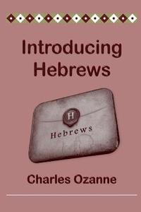 bokomslag Introducing Hebrews