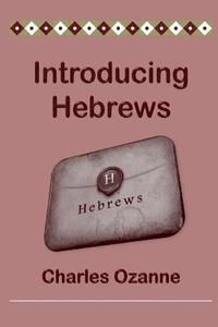bokomslag Introducing Hebrews
