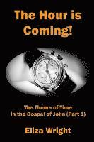 bokomslag The Hour is Coming!: The Theme of Time in the Gospel of John (Part 1)