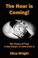 Eliza Wright - The Hour is Coming!: The Theme of Time in the Gospel of John (Part 1), Häftad