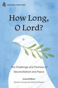 bokomslag How Long, O Lord?