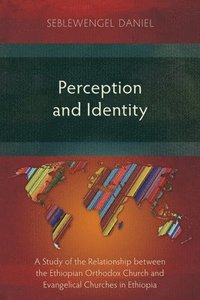 bokomslag Perception and Identity