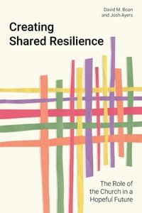 bokomslag Creating Shared Resilience