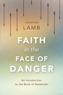 Jonathan Lamb - Faith in the Face of Danger, Häftad