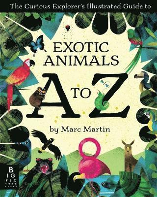 The Curious Explorer's Illustrated Guide to Exotic Animals A to Z 1