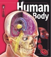 bokomslag Insiders - Human Body