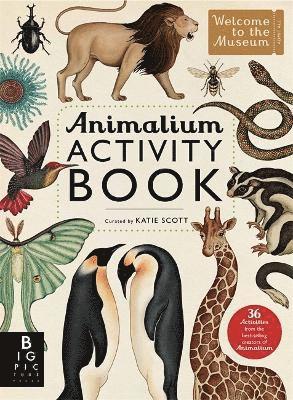 Animalium Activity Book 1