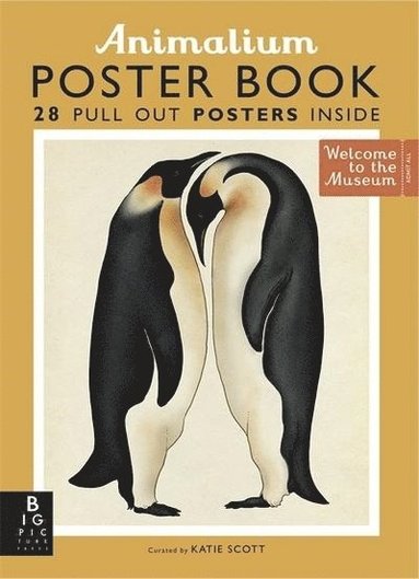 bokomslag Animalium Poster Book