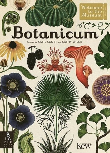 bokomslag Botanicum