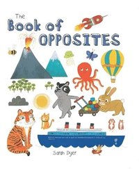 bokomslag The Book of Opposites