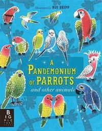 bokomslag A Pandemonium of Parrots