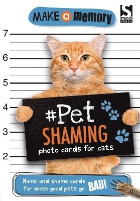 Make a Memory #Pet Shaming Cat 1