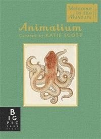 bokomslag Animalium (Mini Gift Edition)