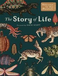 bokomslag The Story of Life: Evolution (Extended Edition)