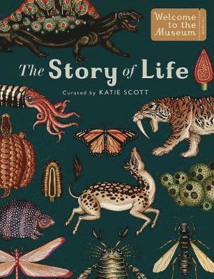Ruth Symons - Story of Life: Evolution (Extended Edition), Inbunden