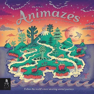 Animazes 1