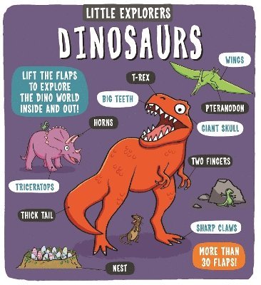 Dynamo Ltd. - Little Explorers: Dinosaurs, Kartonnage
