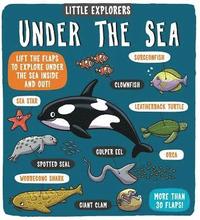 bokomslag Little Explorers: Under the Sea