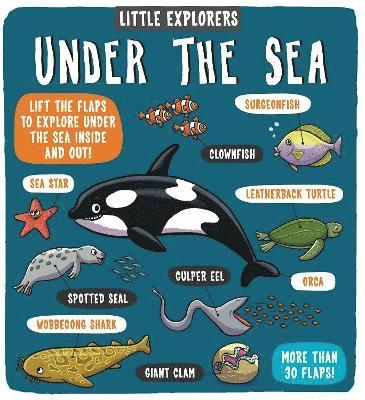Dynamo Ltd. - Little Explorers: Under the Sea, Kartonnage