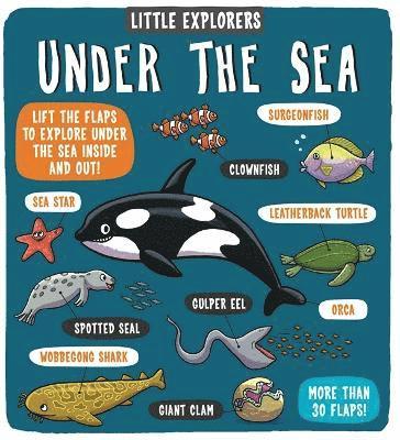Little Explorers: Under the Sea 1