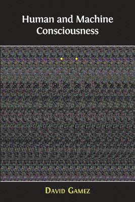 bokomslag Human and Machine Consciousness