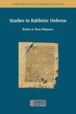 bokomslag Studies in Rabbinic Hebrew