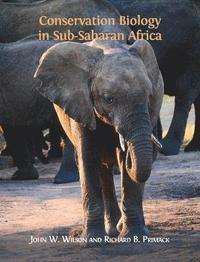 bokomslag Conservation Biology in Sub-Saharan Africa