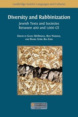 Diversity and Rabbinization 1
