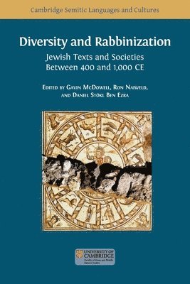 Gavin McDowell, Ron Naiweld, Daniel Stökl Ben Ezra - Diversity and Rabbinization, Häftad