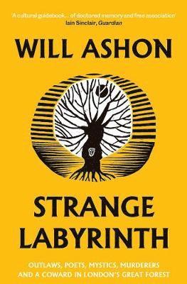 bokomslag Strange Labyrinth