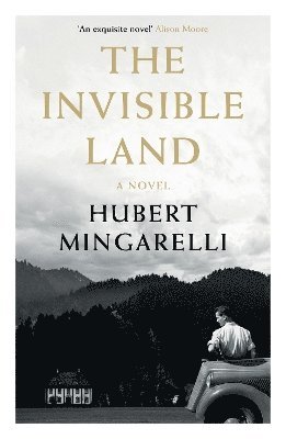 Hubert Mingarelli, Hubert (Y) Mingarelli - Invisible Land, Häftad