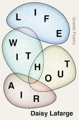 Daisy Lafarge - Life Without Air, Häftad