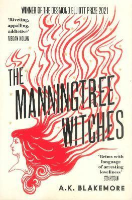 bokomslag Manningtree Witches