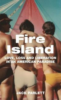 bokomslag Fire Island