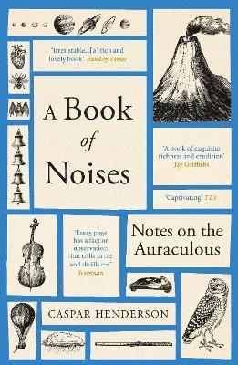 bokomslag A Book of Noises