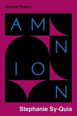 Amnion 1