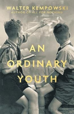 bokomslag Ordinary Youth
