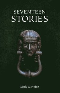bokomslag Seventeen Stories