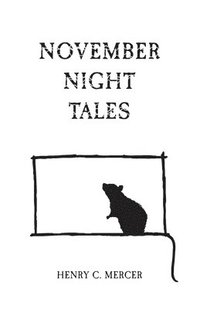 bokomslag November Night Tales