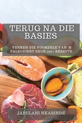 bokomslag Terug na Die Basies