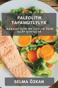 bokomslag Paleolitik Tapawutlylyk