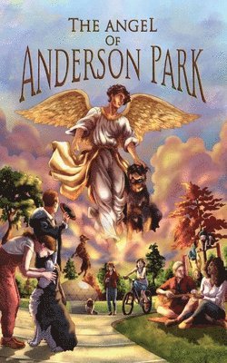 bokomslag Angel of Anderson Park