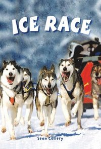 bokomslag Ice Race