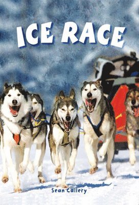 Ice Race 1